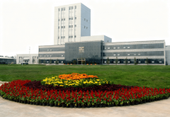 物数量的不竭添加和人们对宠物健康的关